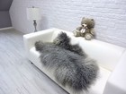 Foto 4 di 11