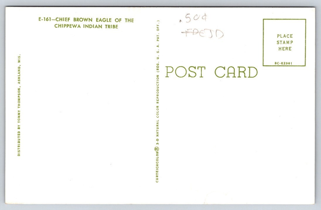 Postcard Native American Chippewa Chief Brown Eagle Unposted
