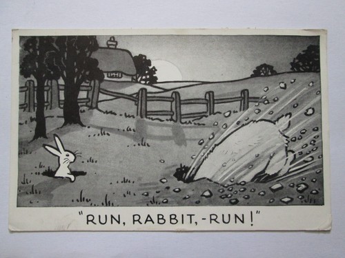 Run Rabbit Run! Vintage Raphael Tuck Run Rabbit Run Series Postcard K11 ...