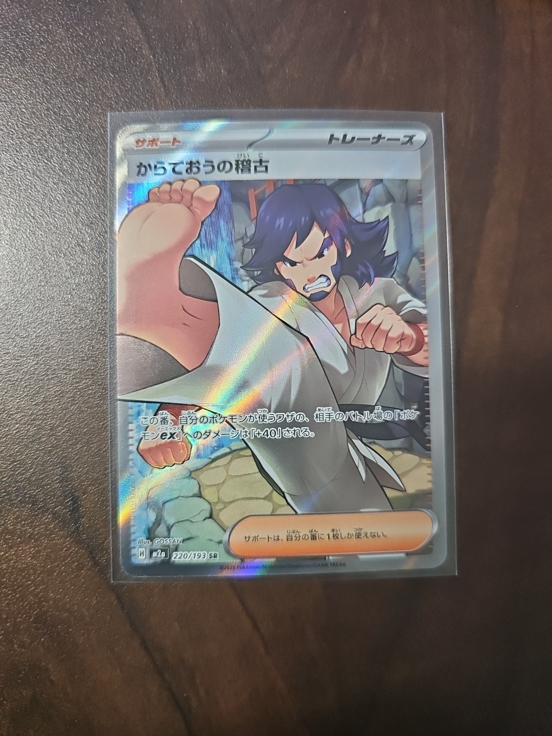 Black Belt's Training 2025 Japanese Mega: Mega Dream ex #220/193