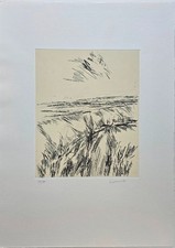 Arnoldo CIARROCCHI, Acquaforte 1996 es: 90/99 "Paesaggio dell'Asola"