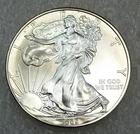 2009 American 1 oz Silver Eagle BU .999 Fine Silver in saflip #T254