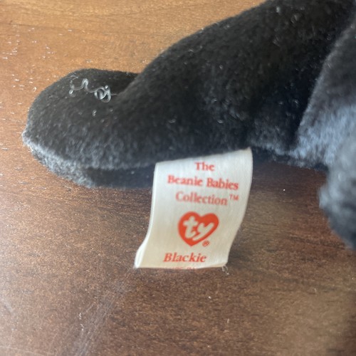 Ty Beanie Baby Blackie l'Orso Ritirato Vintage 1993 PVC Pellet Tag Errori - Foto 5 di 6
