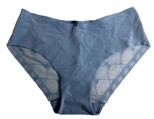 Victorias Secret Hipster Panty Size Medium Blue Sheer Mesh Back Hiphuggers NWT