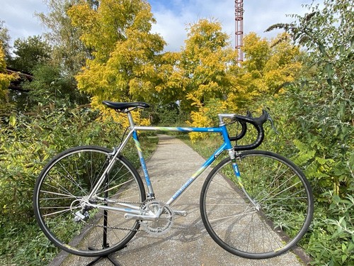 Classic roadbike Koga Miyata Flyer 56cm 1990 Shimano 600 tricolore retro.  Renner | eBay