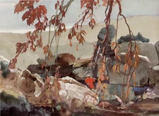 ROY MARTELL MASON - Willow Springs -  13x19 Sporting Art Print FLY FISHING Trout