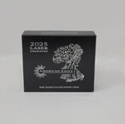 2025 Laser Engraved American Eagle One Ounce Silver Proof Coin