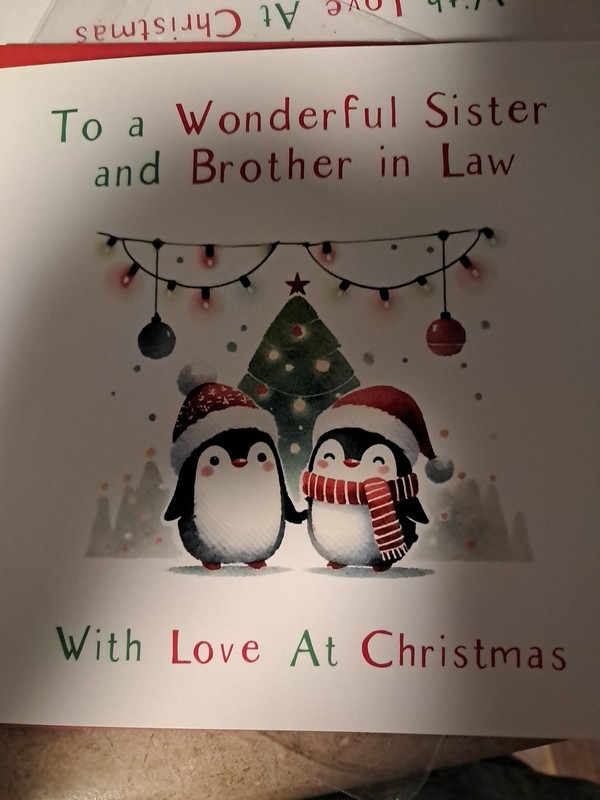 Christmas Card Brother In Law And Sister