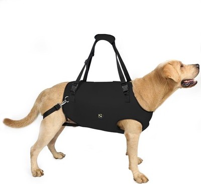 Coodeo Dog Lift Harness, Pet Support & Rehabilitation Sling Lift Adjustable Padd