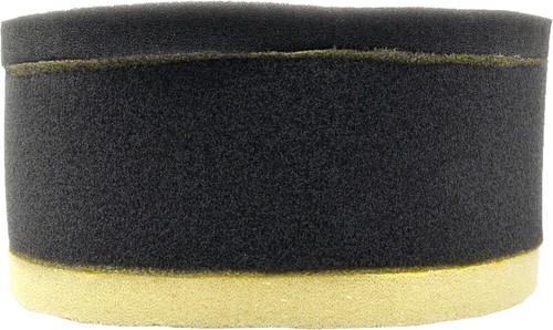 EMGO - 12-93060 - AIR FILTER