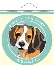 Beagle Car Magnet 4x4"