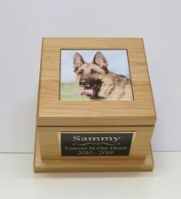 Beautiful Red Alder Large Dog Pet Urn Custom Tile Photo  Engraved Tag