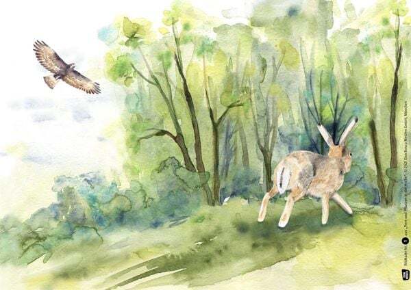 Thumbnail - Tiere Und Pflanzen In Der Hecke. Kamishibai Bildkartenset