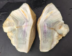 551g Banded Fluorite Rough Specimen High Translucency Pair Lapidary Fluorescent — photo 1