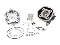 Zylinderkit Polini Grauguss Sport 50Ccm FüR Minarelli Liegend LC
