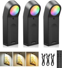 Picture Lights for Wall: Compact Rechargeable Wireless Art Light with Remote Tim
