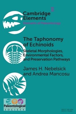 The Taphonomy of Echinoids: Skeletal Morphologies, Environmental Factors, and Pr