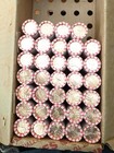(5) 2020-P Lincoln Shield Cent Penny 50 Coin Rolls Uncirculated Bank Wrapped  — photo 2