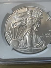 2017-W $1  Burnished American Silver Eagle Premier Select Series NGC MS 70 1oz