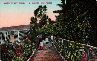 CPA AK Spanien LAS PALMAS DE GRAN CANARIA - Garten von Corvo-Moya (304777)