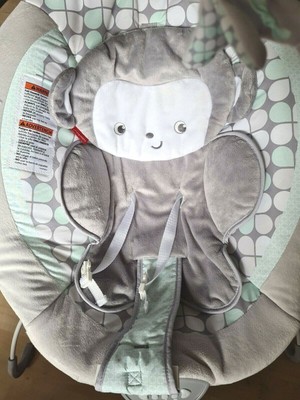 fisher price sweet surroundings monkey bouncer
