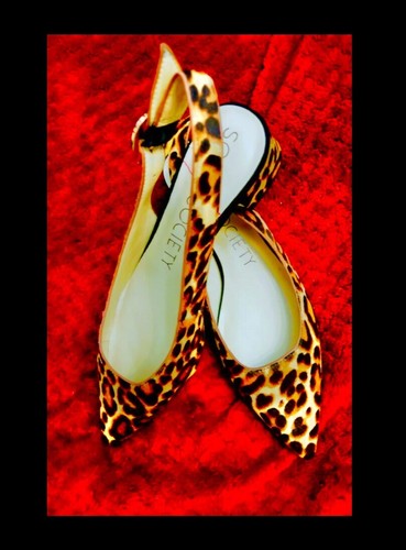 Sole Society MARIOL size 7.5M leopard Rrp $159.99 calf hair, heel 1.5" NEW - Picture 12 of 24