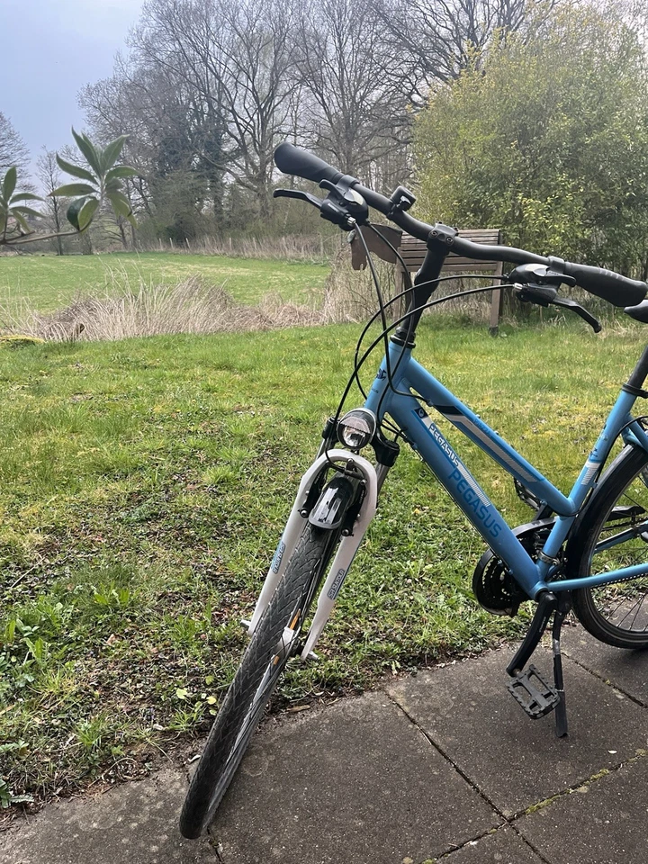 pegasus piazza - Bild 2 von 4