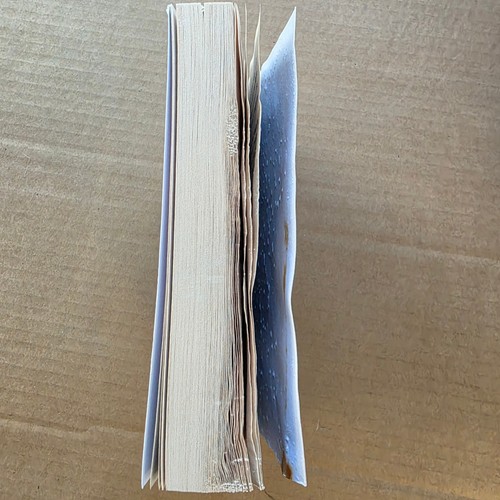 Shatter Me Serie von Tahereh Mafi 5 Buch Set Shatter Unravel Ignite Restore Defy - Bild 8 von 8