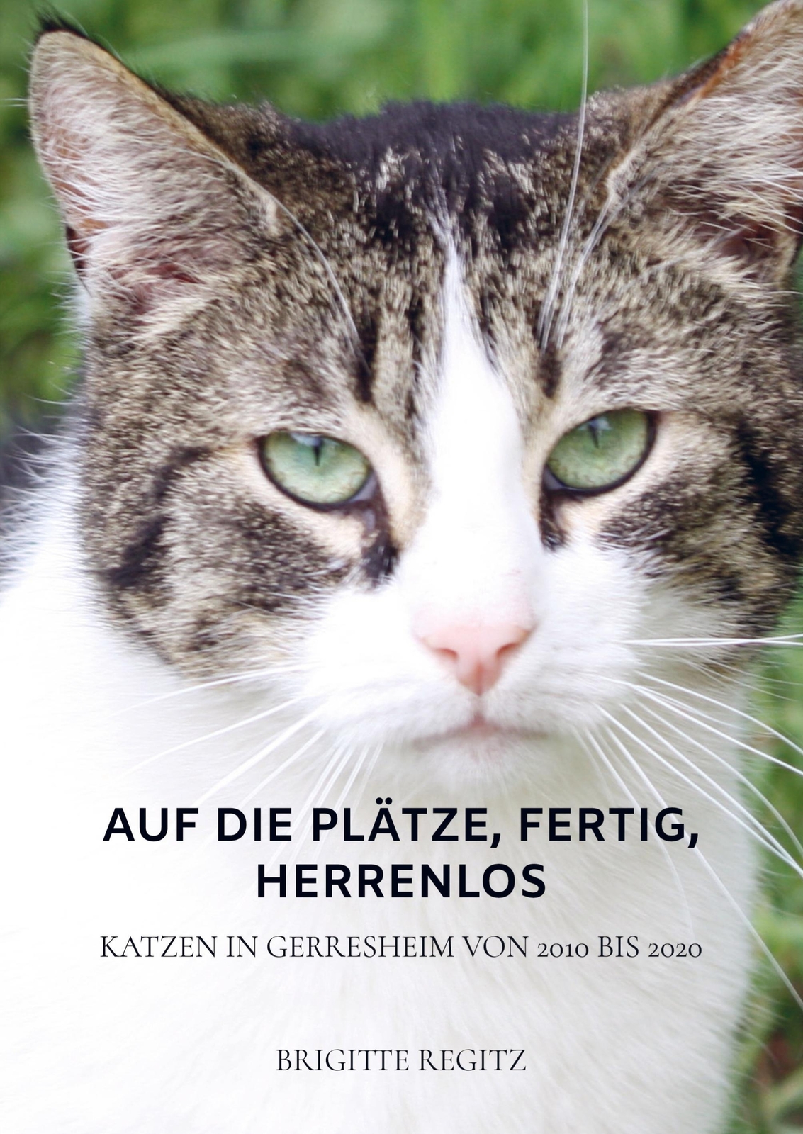 Thumbnail - Auf Die Plätze, Fertig, Herrenlos | Katzen In Gerresheim Von 2010 Bis