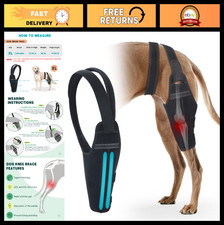 Dog Knee Brace for Torn ACL - Adjustable Support for Hind Leg, Pain Relief, Stab