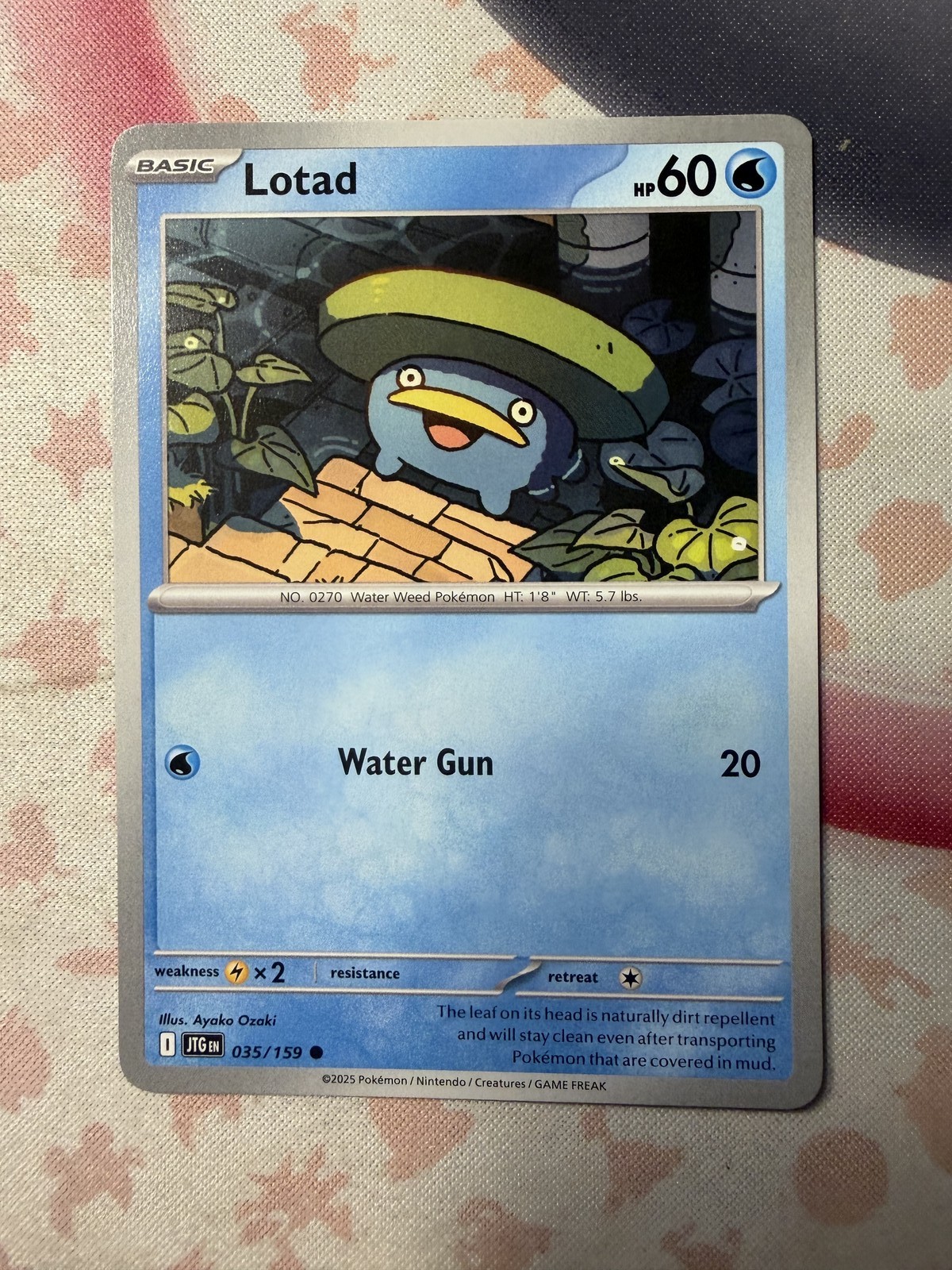 Lotad Common SV09: Journey Together 035/159 NM English
