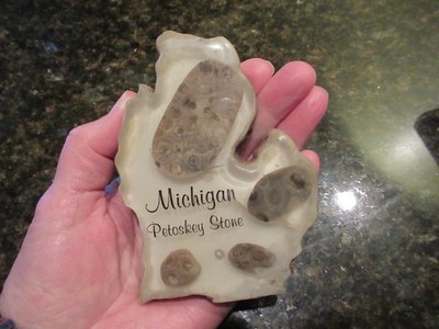 Michigan Petoskey Stones in Lucite State Shape Hangable Display Souvenir