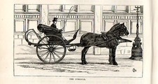 Stampa antica CALESSE CARROZZA a due RUOTE con DUE CAVALLI 1892 Old print horses