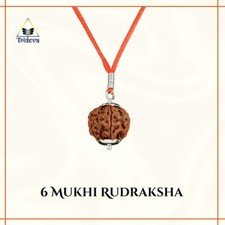 Premium 6 Mukhi Rudraksha Pendant made in Sil...