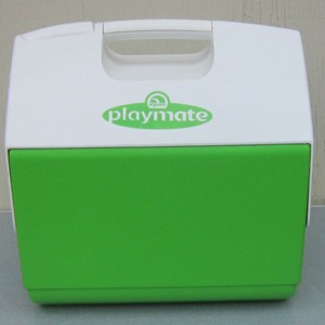 lime green igloo cooler