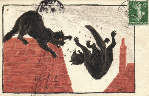 Carte Postale Vintage Humoristique Signée Par Un Artiste - Thème Chat - Tuck's