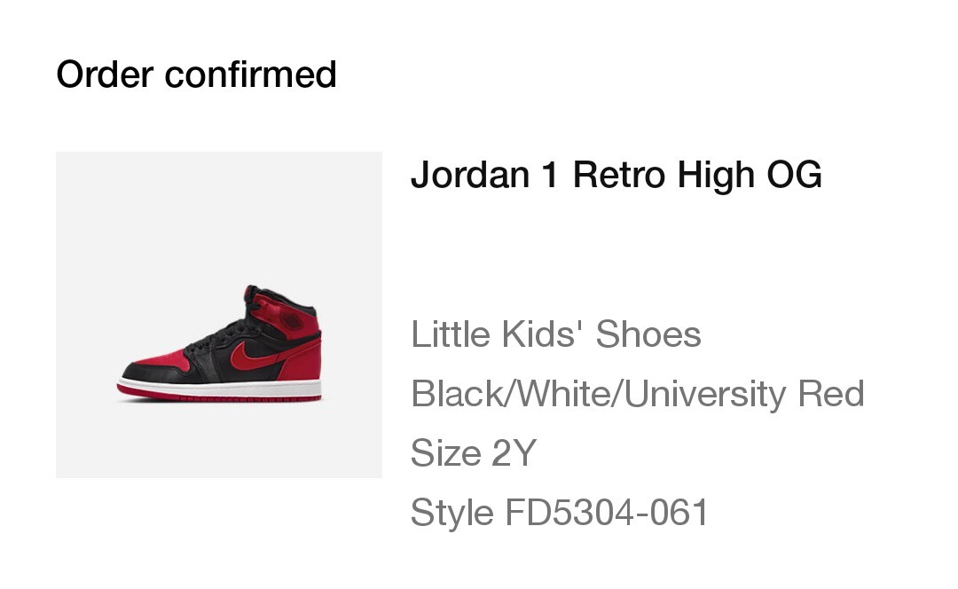 未使用 NIKE JORDAN 1 RETRO HIGH OG キッズ【G】. NIKE ナイキ ジョーダン ベビー スニーカー シューズ AIR JORDAN
