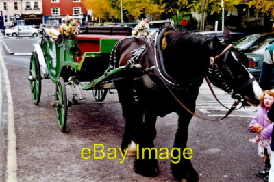 Foto 6x4 Kilkenny - Pferdekutschenfahrten mit 4 Rädern angeboten 2 um 2002