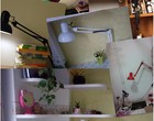 Foto 7 di 15