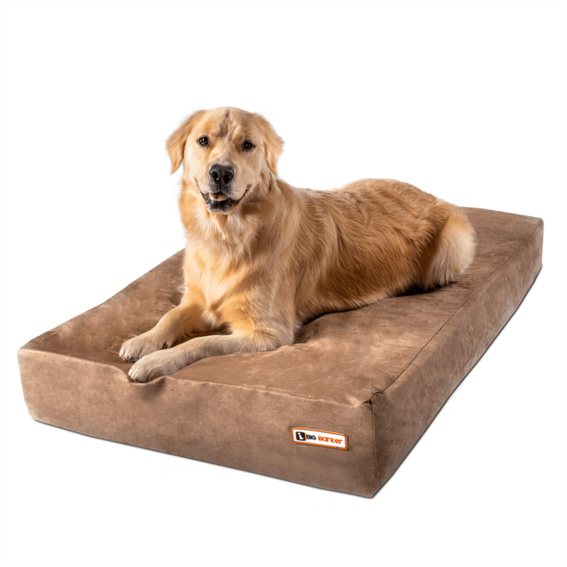 big barker dog bed sale