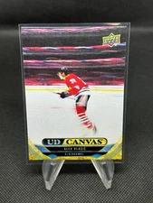 2024-25 UPPER DECK SERIES 2 HOCKEY UD CANVAS ALEX VLASIC #C181