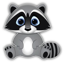 Cute Raccoon Car Bumper Sticker Decal