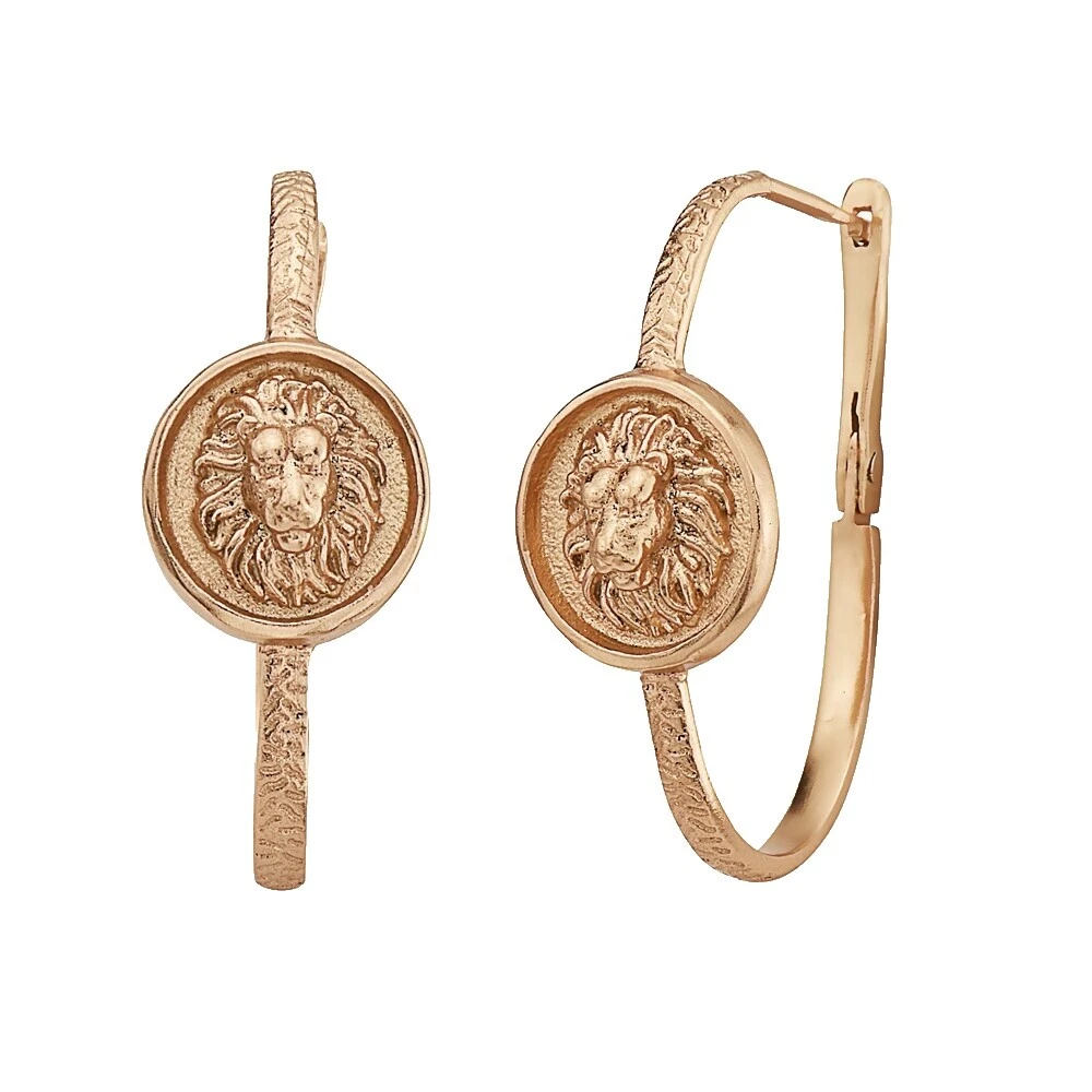 Pendientes de Moda de bronce de animales e insectos