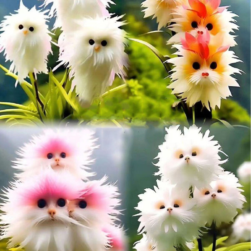 20 Pcs Seeds Cute Cat Face Orchid seed Bonsai Plants Flowers For Home Garden US