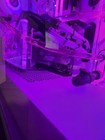 Foto 12 di 12