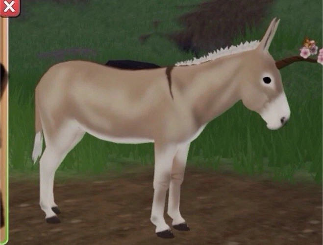 Standard Donkey Spring Limited Horned Island Unique Coat Rare Breed Unbreedable