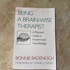 Norton Series on Interpersonal Neurobiology S...