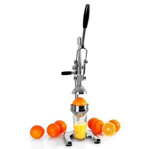 saftpresse edelstahl manuell