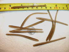 60-3"bass trout crappie walleye-bluegill worms-drop shot-grubs-jigs-lots-scent