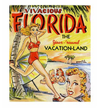 5" vivacious florida vintage bumper sticker decal usa made